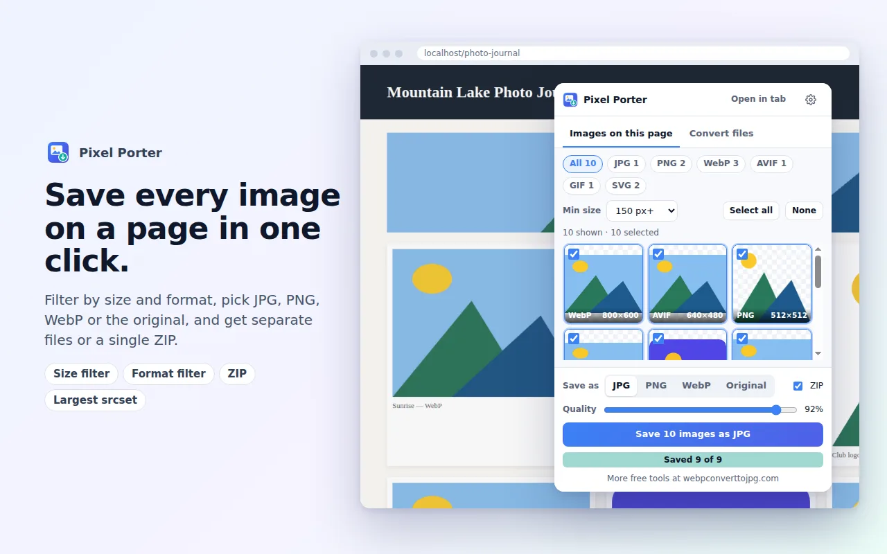 The Pixel Porter popup listing every image on a page with size and format filters